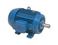 MOTORES ELECTRICOS TRIFASICOS DE BAJA Y MEDIA TENSION